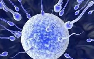 在南昌做一次第二代试管婴儿需要多长时间，费用情况如何？