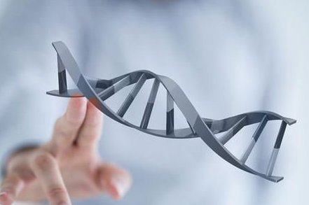 泰国试管婴儿的条件有哪些？哪些指标可以评估生育能力