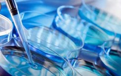 2026年卵巢衰竭去中山市博爱医院做三代试管可以吗？成功率有多高？