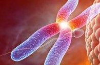 重度宫腔粘连在福鼎市做试管婴儿靠谱吗？重度宫腔粘连试管婴儿成功率多少