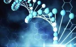 广州试管婴儿技术哪家医院领先？知名医院排名一览