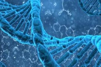 单身到国内私立机构做试管可以吗？提供结婚证是必须的