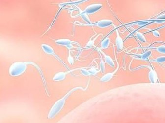 2026沈阳哪些医院助孕生子卵子的资源充足？助孕选胚胎多少费用？