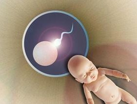 影响柬埔寨三代试管价格的因素是什么？柬埔寨丹若做三代试管怎么样？