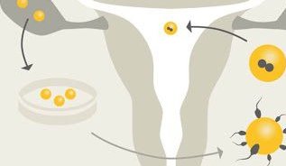 美国试管婴儿医院，美国试管技术区别？