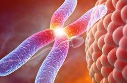 2026年想去项城市做试管婴儿需要准备哪些事？详细收费明细一览